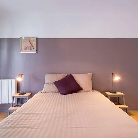 Centre Confluence 100 M2 Parking Terrasses Apartman *